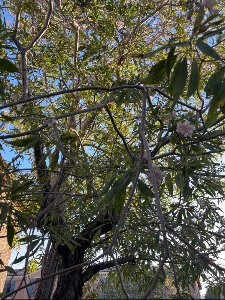 Slide of GAS Handyman Services