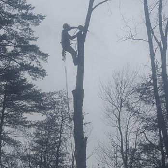Potter Tree Care - Expert climbers! - Tree Services Near Me - Dublin, New Hampshire Potter Tree Care - Expert climbers! - Tree Services Near Me - Dublin, New Hampshire