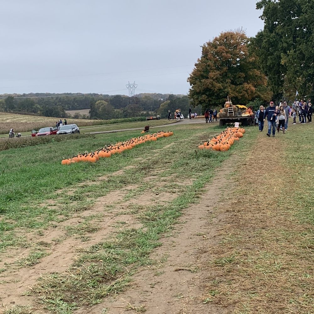 Boyd's Pumpkin Patch - Pumpkins - Pumpkin Patches Near Me - Clarksville, Tennessee