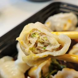Pork dumpling