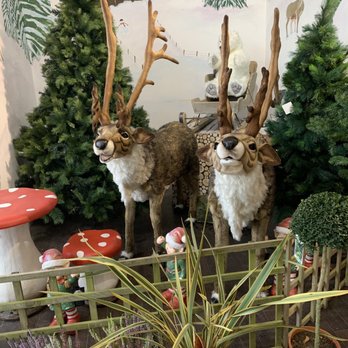 D&M Garden Centre - Nurseries & Gardening Near Me - Limerick, LK