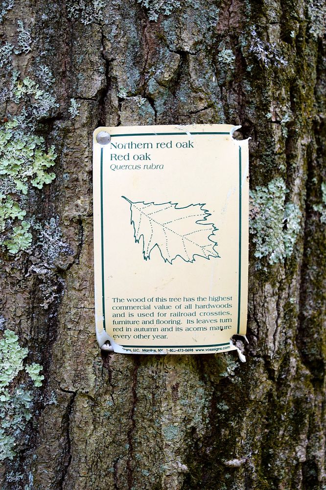 Westconnaug Meadows Hiking Trail Logo