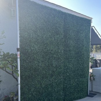 Lola's Party Rental - Hedge Greenery BackDrop - Party Equipment Rentals Near Me - Santa Ana, California Lola's Party Rental - Hedge Greenery BackDrop - Party Equipment Rentals Near Me - Santa Ana, California