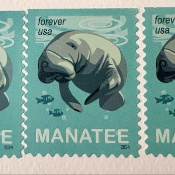 US Post Office - Posted with review 05/22/25 - Post Offices Near Me - New York, New York US Post Office - Posted with review 05/22/25 - Post Offices Near Me - New York, New York