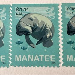 US Post Office - Posted with review 05/22/25