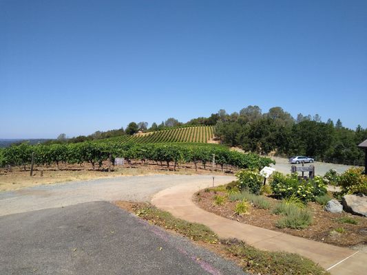 Skinner Vineyards & Winery by null