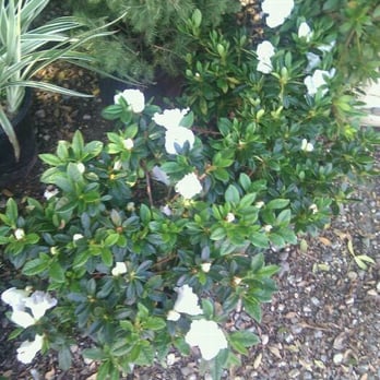 Moon Valley Nurseries - Nurseries & Gardening Near Me - Malibu, California
