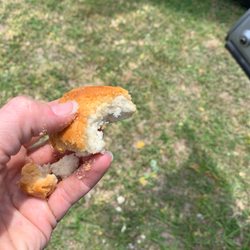 Literally able to crumble the biscuit, hopefully the birds will like it