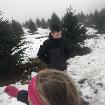 Bob's Trees - Nurseries & Gardening Near Me - Hagaman, New York