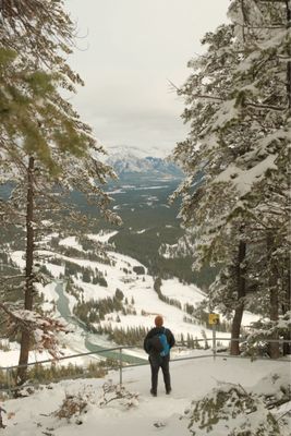 Tunnel Mountain Trail by null