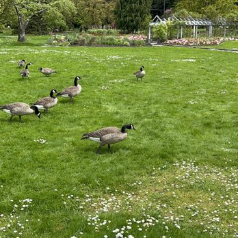 Stanley Park - Parks Near Me - Vancouver, British Columbia