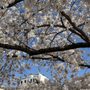 Photo of Eastern Parkway