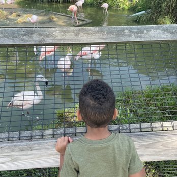 Metro Richmond Zoo - Zoos Near Me - Moseley, Virginia