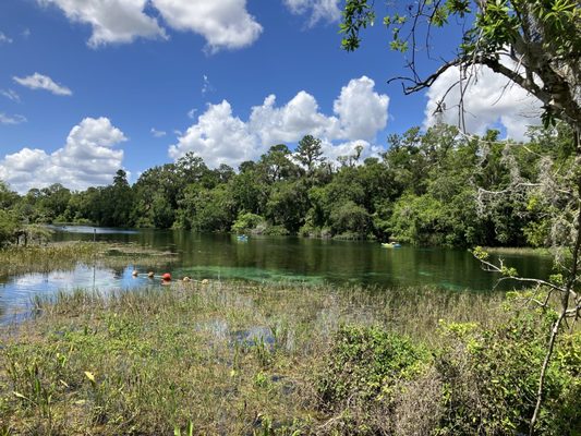 Rainbow Springs State Park by null