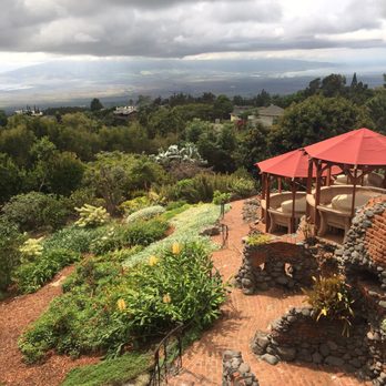 Kula Lodge & Restaurant - Breakfast & Brunch Near Me - Kula, Hawaii