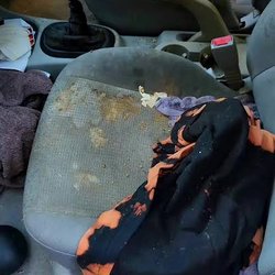 Tower Auto - Shit on my seat!!