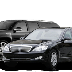 Blue Bird Limousine