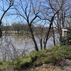Pearson Park - Neuse river