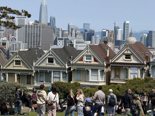 The Painted Ladies by null