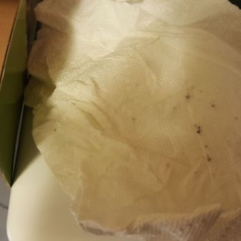 PetSmart - Moldy or dirty paper towel - Pet Stores Near Me - Reno, Nevada PetSmart - Moldy or dirty paper towel - Pet Stores Near Me - Reno, Nevada