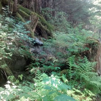 Treadwell Ditch Trail - Hiking Near Me - Douglas, Alaska