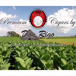 PREMIUM CIGARS BY DON RIGO