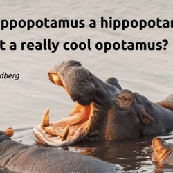 The Hoppy Hippo - #thehoppyhippo #cocktails #adventure #cheers