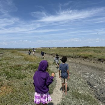 La Cabane du Fier - Marsh beside the restaurant was a great place for the kids to explore while we enjoyed our wine & coffee - Seafood Near Me - Ars En Ré, 17 La Cabane du Fier - Marsh beside the restaurant was a great place for the kids to explore while we enjoyed our wine & coffee - Seafood Near Me - Ars En Ré, 17