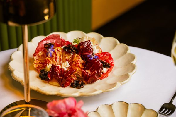 Tucci New York City by null