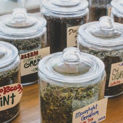 Qi Kratom CBD Tea - International tea selection from all over the globe