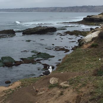 Scripps Inn - Hotels Near Me - La Jolla, California