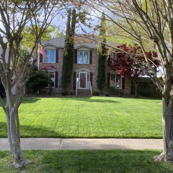 Phillips Lawn Services - Lawn Services - Lawn Services Near Me - Elizabeth City, North Carolina Phillips Lawn Services - Lawn Services - Lawn Services Near Me - Elizabeth City, North Carolina