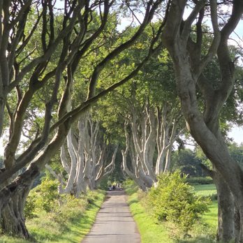 The Dark Hedges - Landmarks & Historical Buildings Near Me - Antrim, BLY The Dark Hedges - Landmarks & Historical Buildings Near Me - Antrim, BLY