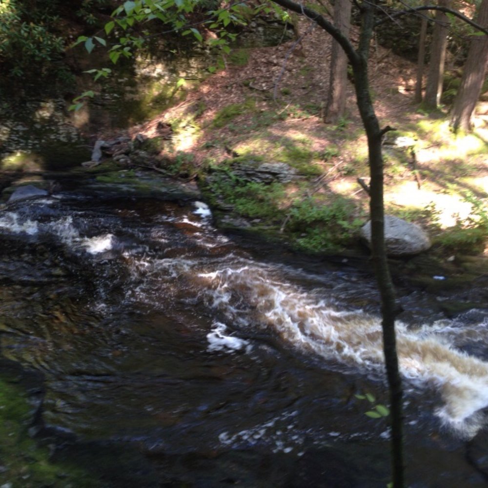 Bushkill Falls - A stream. It's pretty. Didn't see any fish. - Tours Near Me - Bushkill, Pennsylvania