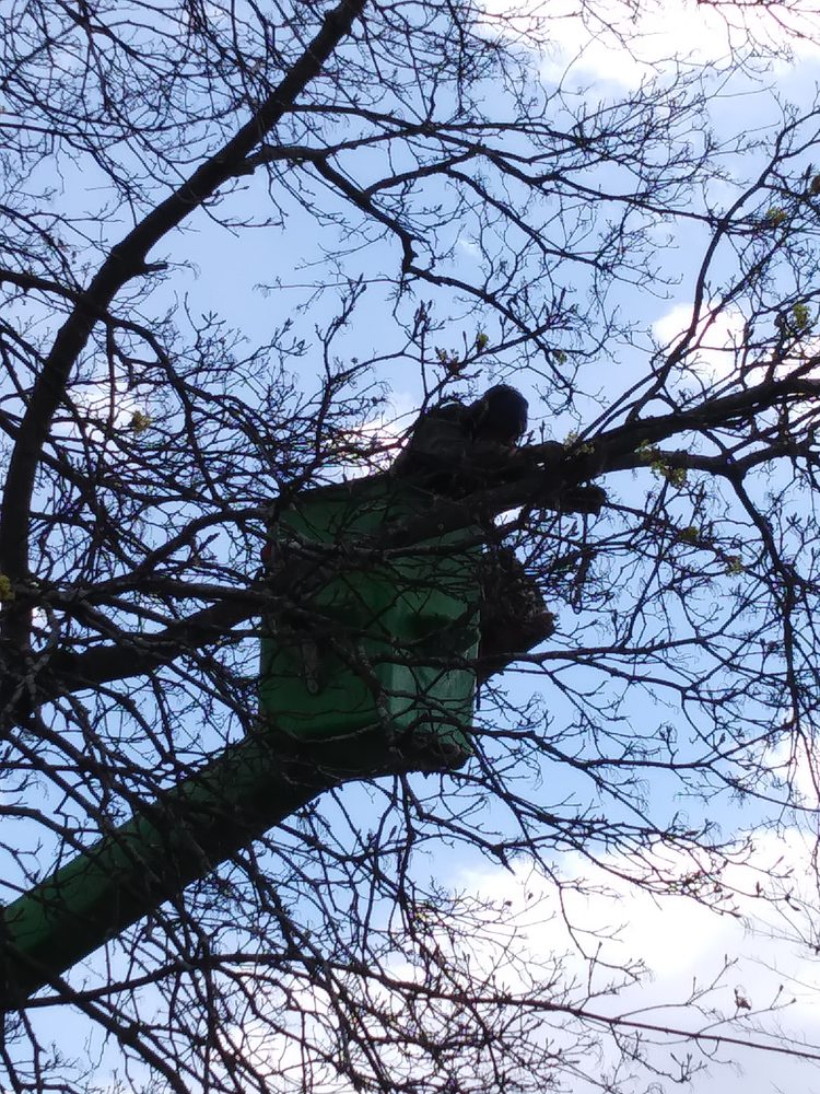 Slide of QUICK'S COMPLETE TREE SERVICE