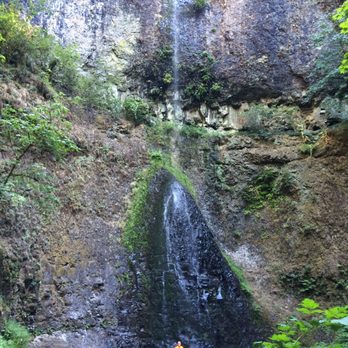 Silver Falls State Park - Tallest waterfall in the park. - Hiking Near Me - Sublimity, Oregon Silver Falls State Park - Tallest waterfall in the park. - Hiking Near Me - Sublimity, Oregon