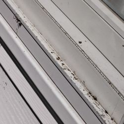 Rodeway Inn - Outside on window and siding  ok  maintenance  or pressure wash nope