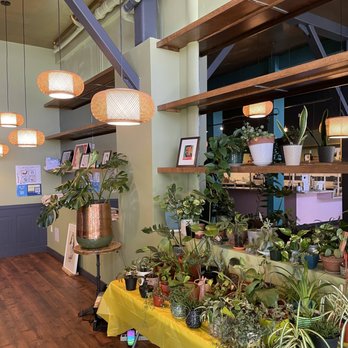 Understory - Lots of cool plants + ways to positively contribute to the community - Filipino Near Me - Oakland, California Understory - Lots of cool plants + ways to positively contribute to the community - Filipino Near Me - Oakland, California