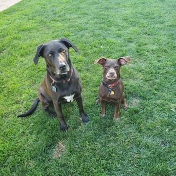 Stress Free Mortgage - Thank you Linda! We are so happy to get to stay at our house. Stella and Tamale - Mortgage Brokers Near Me - Valencia, California Stress Free Mortgage - Thank you Linda! We are so happy to get to stay at our house. Stella and Tamale - Mortgage Brokers Near Me - Valencia, California