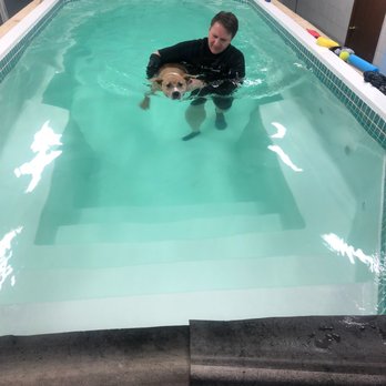 Surf Dog Swim Spa - Pet Training Near Me - Abington, Pennsylvania Surf Dog Swim Spa - Pet Training Near Me - Abington, Pennsylvania