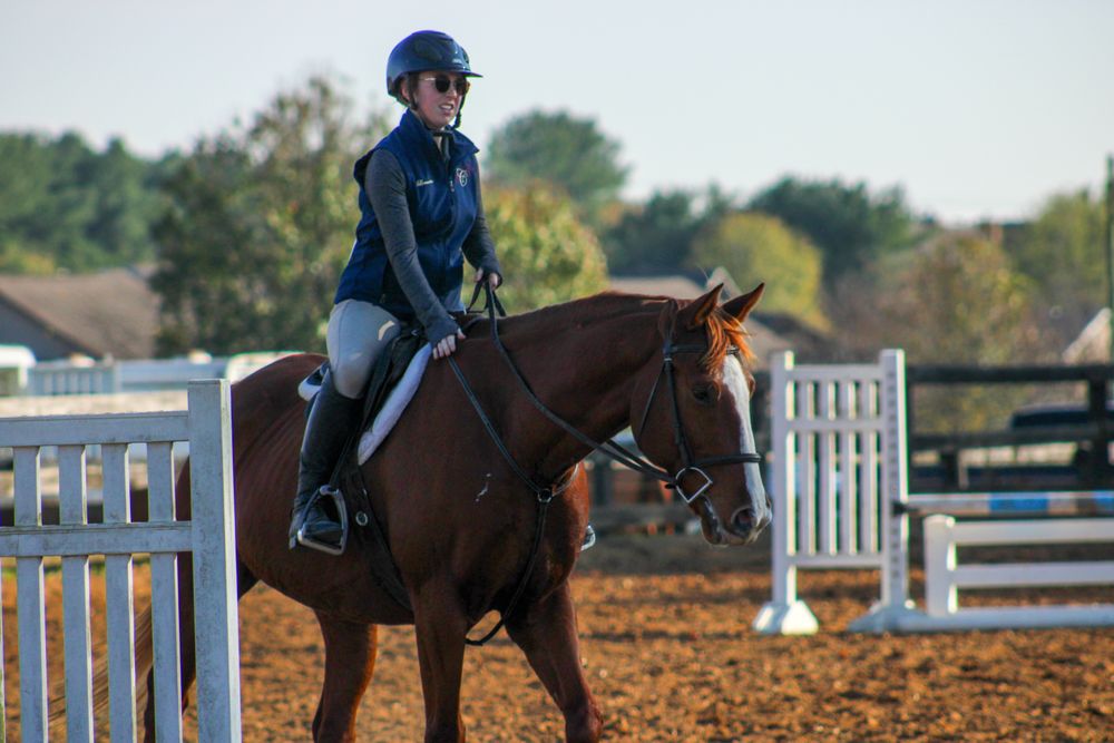 Castalian Equestrian Center - equestrian in Castalian Springs, TN