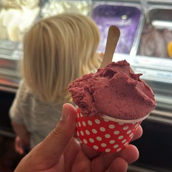 Dolce Gelato - Fruit of the Forest Gelato - Ice Cream & Frozen Yogurt Near Me - Laguna Beach, California Dolce Gelato - Fruit of the Forest Gelato - Ice Cream & Frozen Yogurt Near Me - Laguna Beach, California