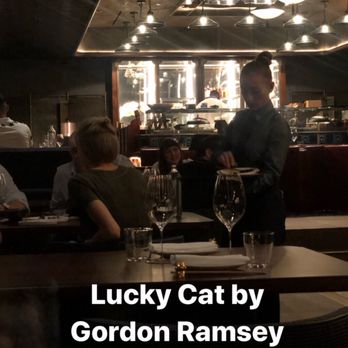 Lucky Cat - Asian Fusion Near Me - London, XGL Lucky Cat - Asian Fusion Near Me - London, XGL