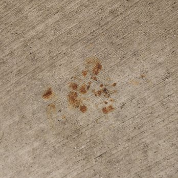 Monticello Apartment Homes - Dog poop in parking - Apartments Near Me - Santa Clara, California