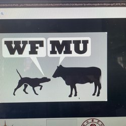 WFMU - WFMU artwork