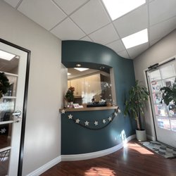 The Dental Orchid