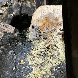 Broken Boot Gold Mine - The "Broken Boot"