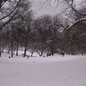 Central Park Conservancy - Parks Near Me - New York, New York