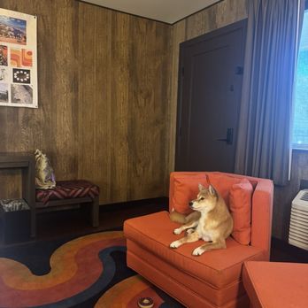 Americana Motor Hotel - Chair - Hotels Near Me - Flagstaff, Arizona