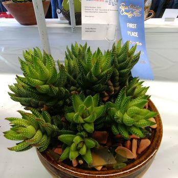 San Mateo County Fair - Festivals Near Me - San Mateo, California